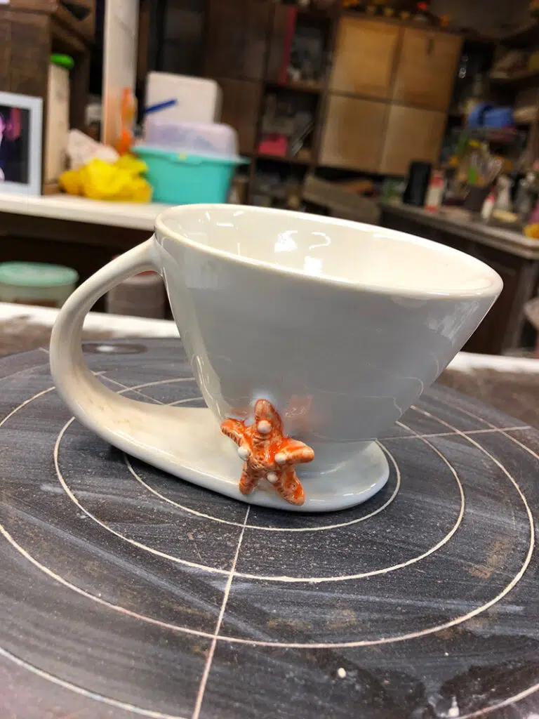 Creature Cups Starfish – Wild Ocean Direct